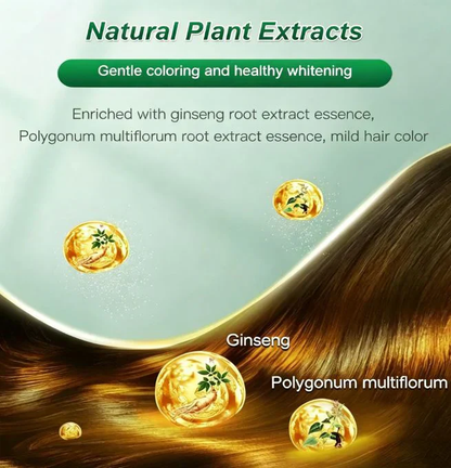 🔥50% Off🔥Hair Dye Cream Comb