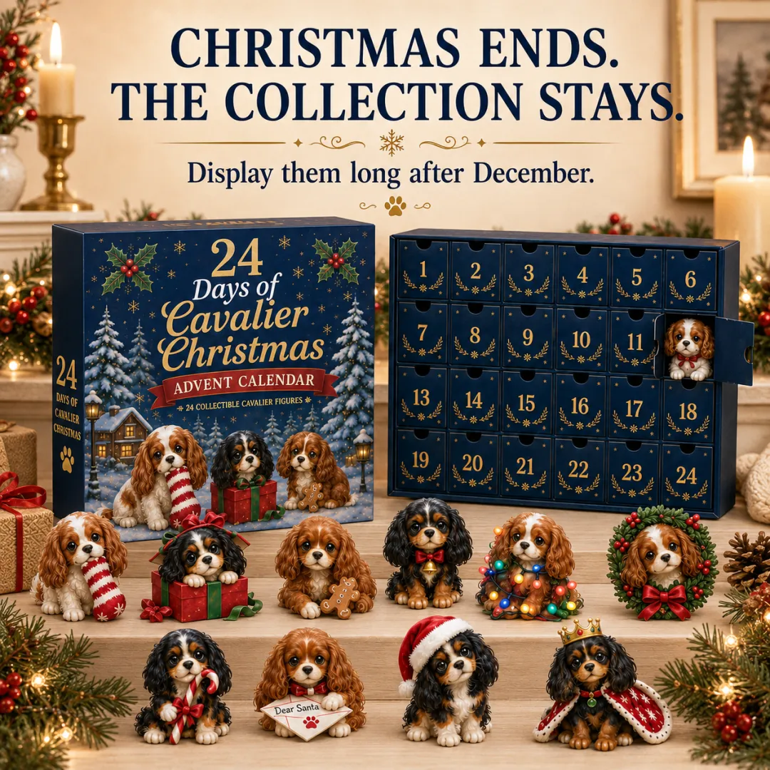 2026 Cavalier Advent Calendar - 24 Collectible Dog Figurines